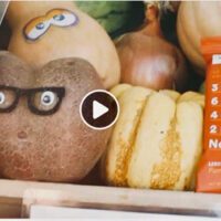 Arcadia Holiday Market video