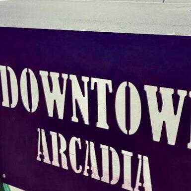 Downtown Arcadia bike rack close up