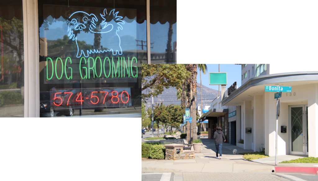 two images showing a dog groomer and street corner